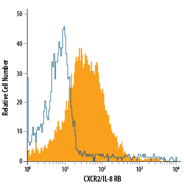 Detection of CXCR2/IL-8 RB antibody in Rat Blood Granulocytes antibody by Flow Cytometry.