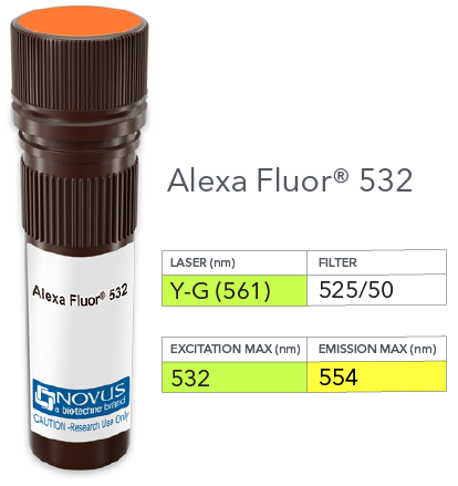 NKp46/NCR1 Antibody (195314) [Alexa Fluor® 532]