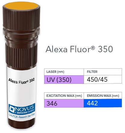 CD31/PECAM-1 Antibody (MEC 7.46) [Alexa Fluor® 350]