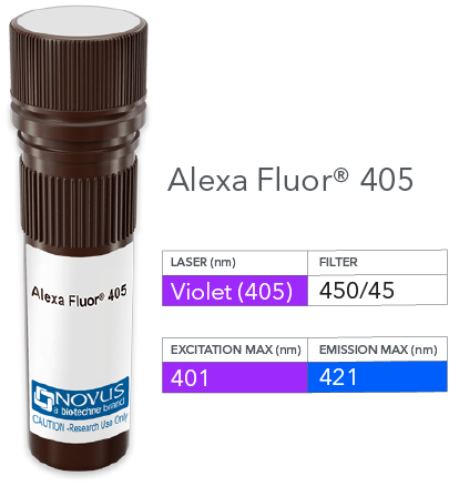 CD31/PECAM-1 Antibody (JC/70A) [Alexa Fluor® 405]