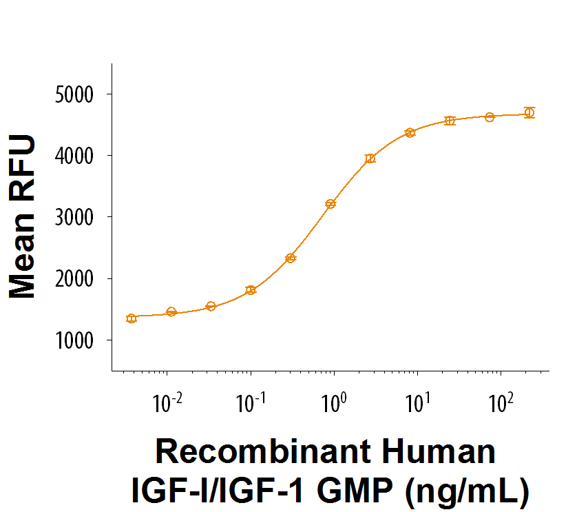 Recombinant Human IGF-I/IGF-1 GMP Protein Bioactivity