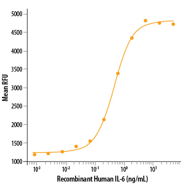 Recombinant Human IL-6 Protein Bioactivity